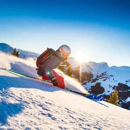 Hotel Eva,garden Saalbach-Hinterglemm